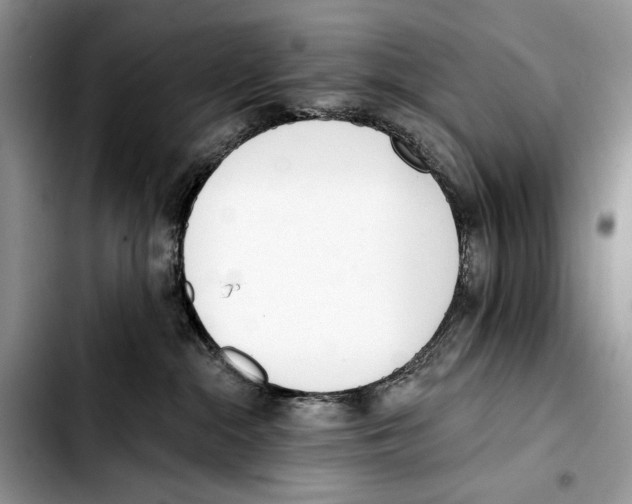 X0000103420284200810101025