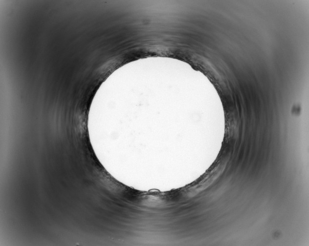 X0000103420285200810101026