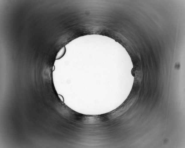 X0000103420286200810101026