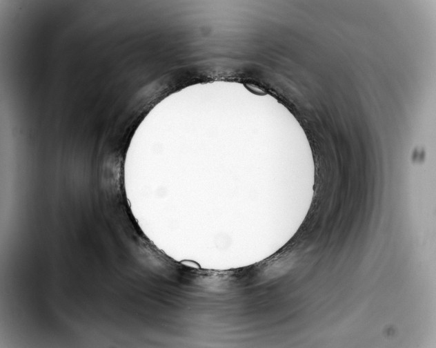 X0000103420288200810101026