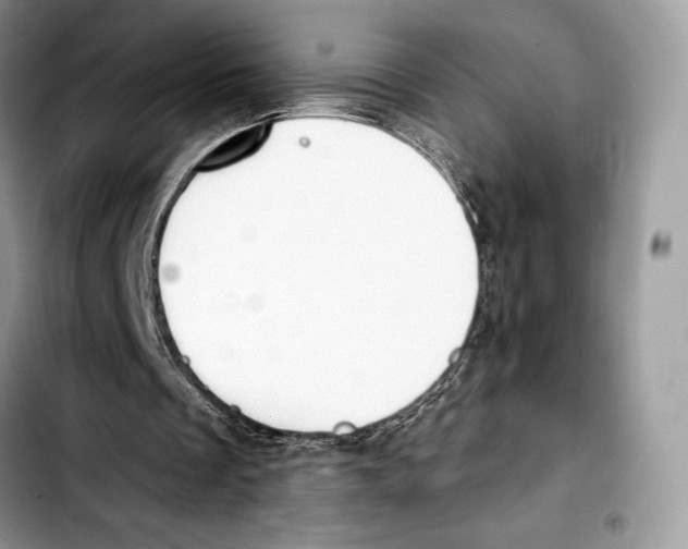 X0000103420289200810101025