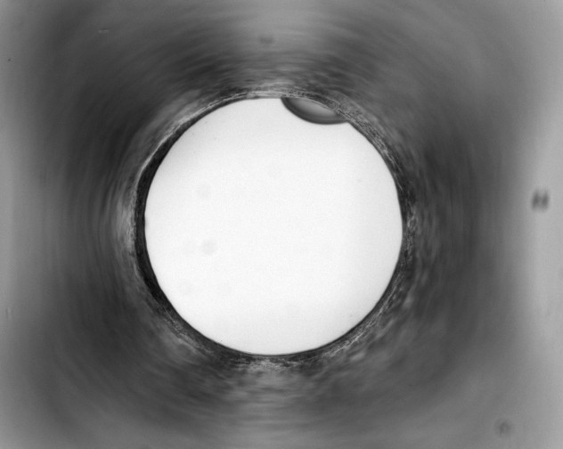 X0000103420290200810101025