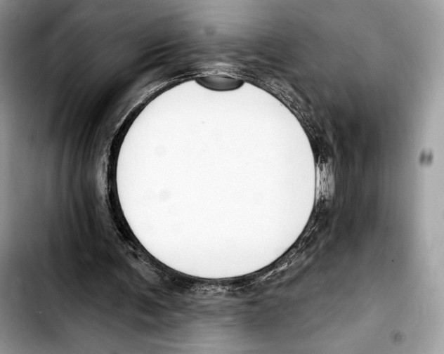 X0000103420291200810101025