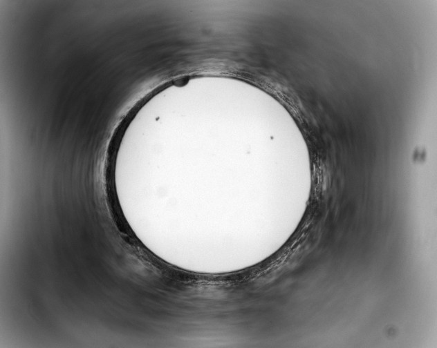 X0000103420292200810101025