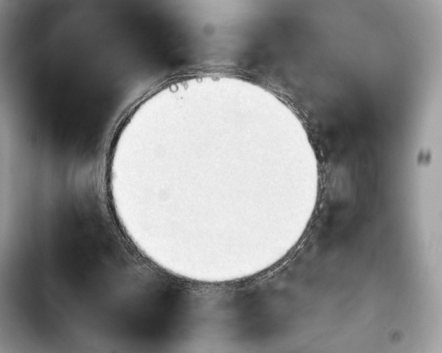 X0000103420293200810101025