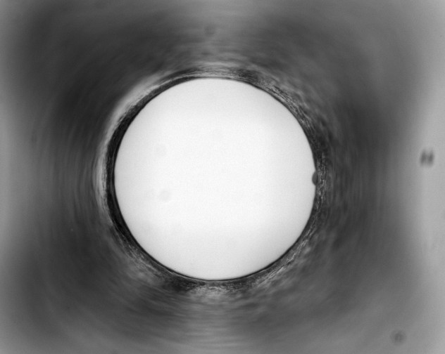 X0000103420294200810101025