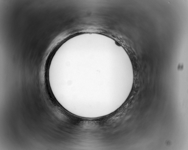 X0000103420296200810101025