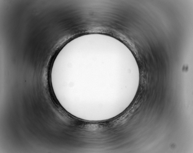 X0000103420298200810101025