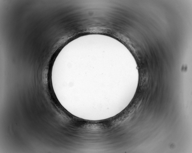 X0000103420299200810101025