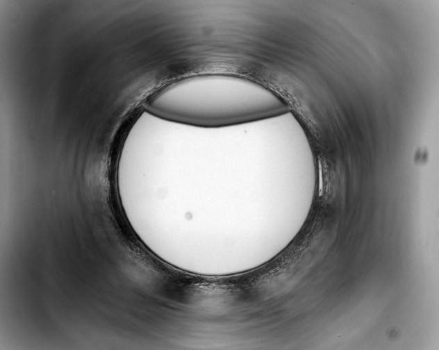 X0000103420300200810101025