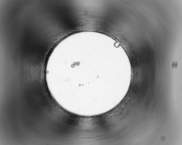 X0000103420301200810101025