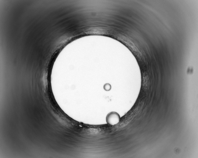 X0000103420302200810101025