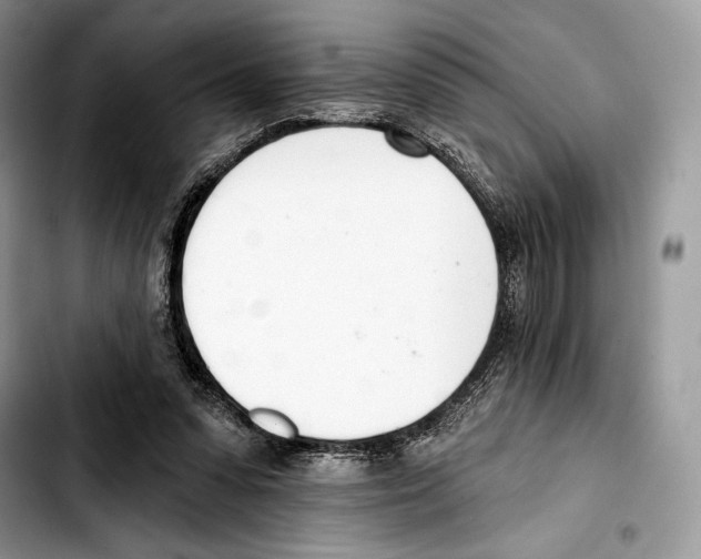 X0000103420303200810101025