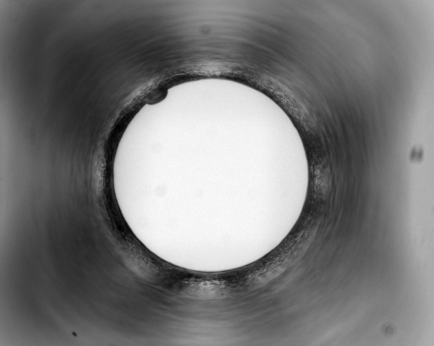 X0000103420304200810101025