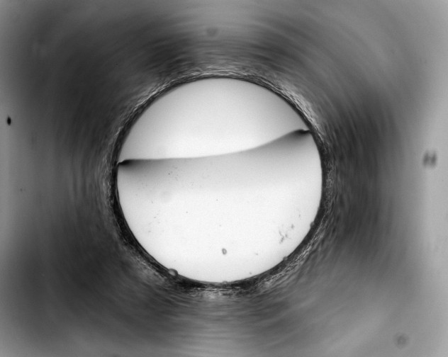 X0000103420305200810101025