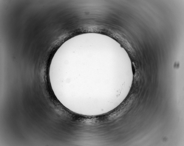 X0000103420306200810101025