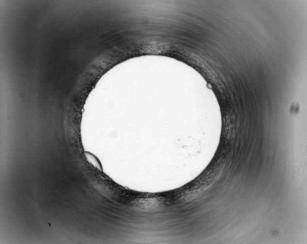 X0000103420307200810101025