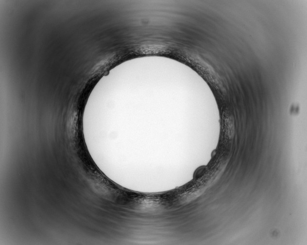 X0000103420308200810101025
