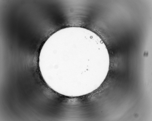 X0000103420309200810101025