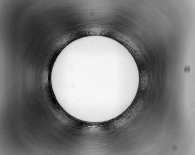 X0000103420310200810101025