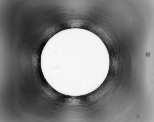 X0000103420311200810101025