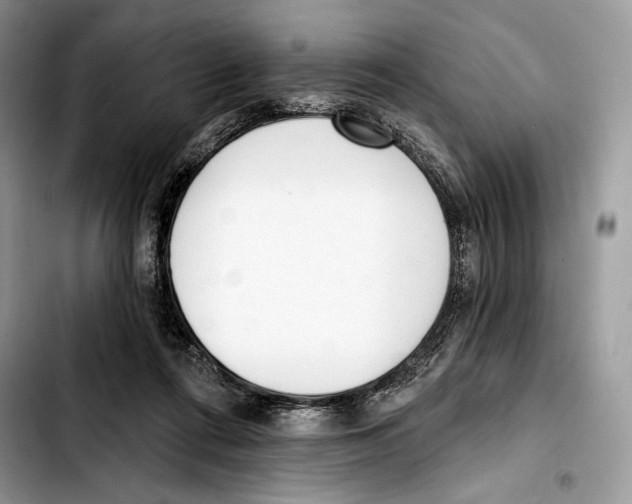 X0000103420312200810101025