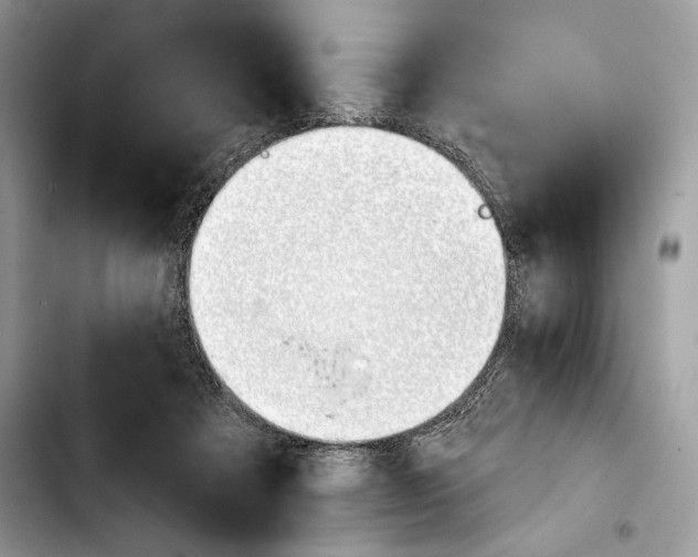 X0000103420313200810101025