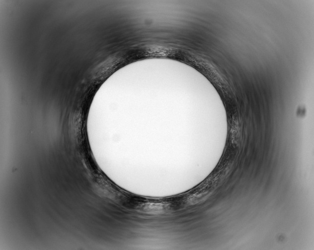 X0000103420314200810101025