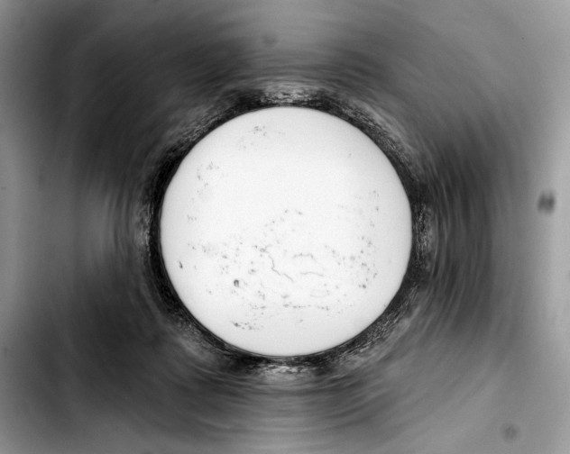 X0000103420315200810101025