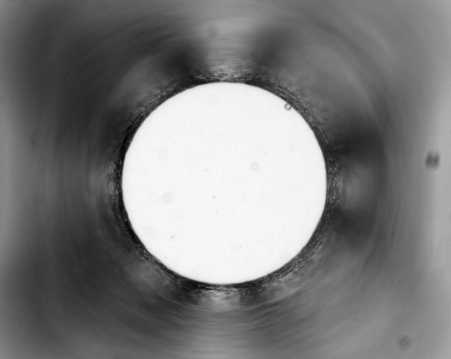 X0000103420317200810101024