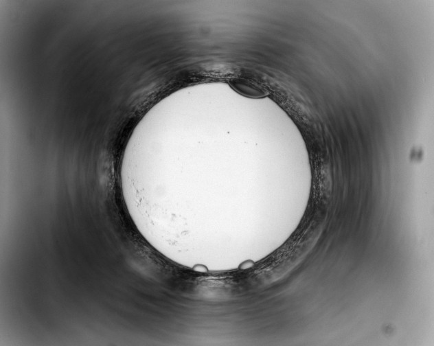 X0000103420320200810101024