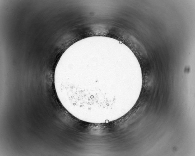 X0000103420321200810101024
