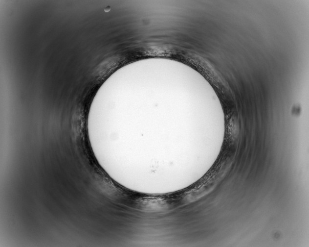 X0000103420322200810101024