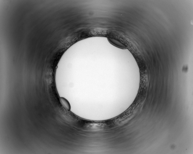 X0000103420323200810101024