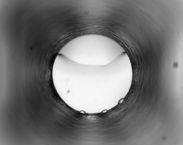 X0000103420324200810101024