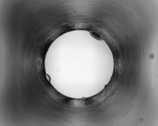 X0000103420327200810101024