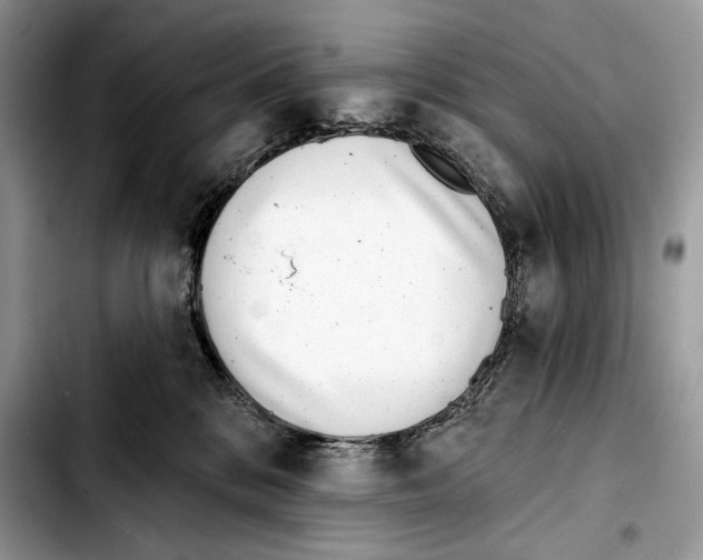X0000103420328200810101024