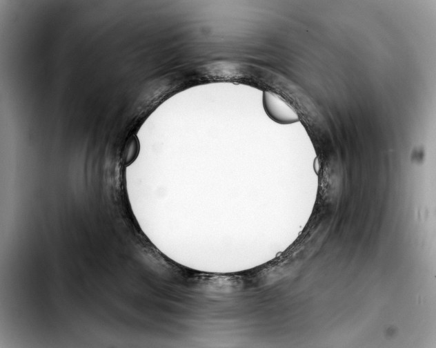 X0000103420330200810101024