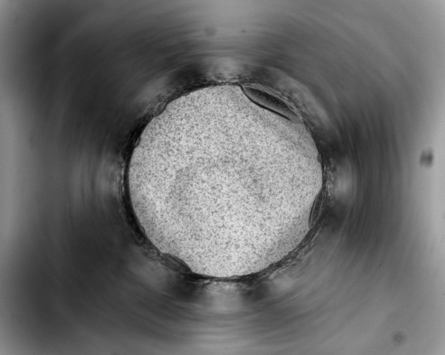 X0000103420332200810101024