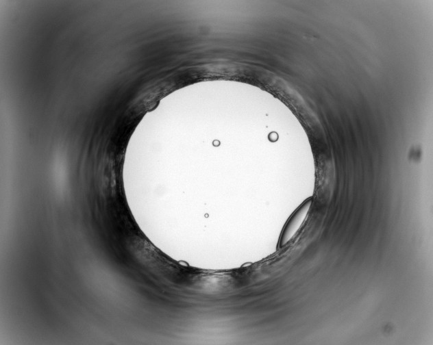 X0000103420333200810101024