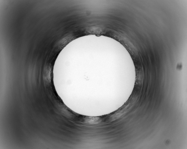 X0000103420334200810101024