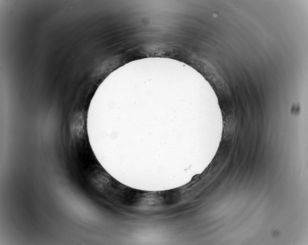 X0000103420335200810101024