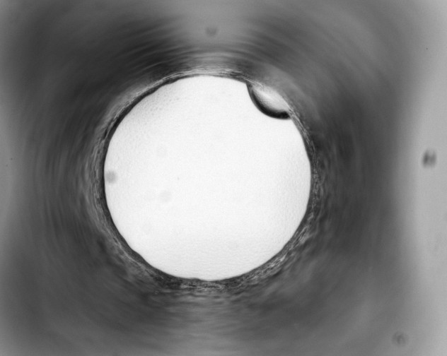 X0000103420337200810101024
