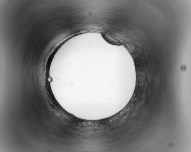 X0000103420338200810101024