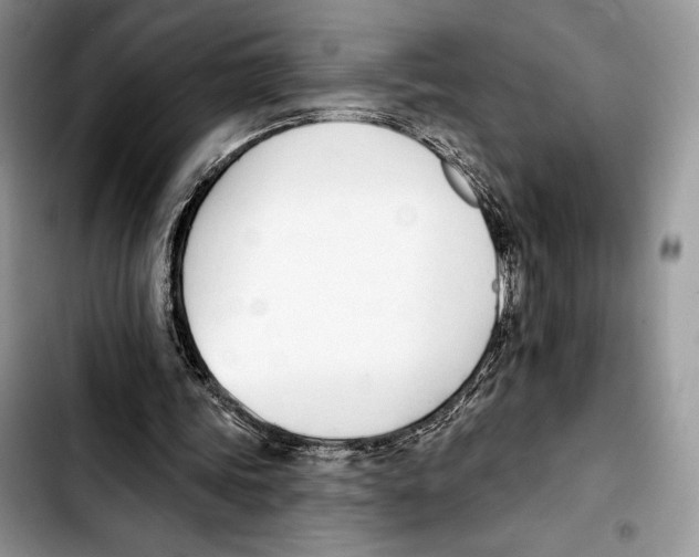 X0000103420339200810101024