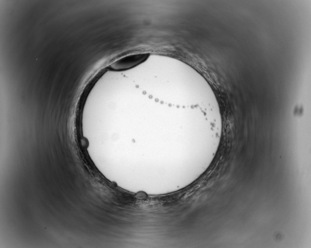X0000103420340200810101024