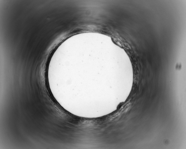 X0000103420341200810101024