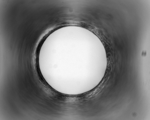 X0000103420342200810101024