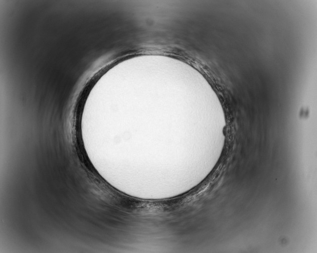 X0000103420343200810101024