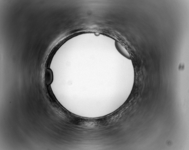 X0000103420344200810101024